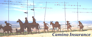 travel insurance for trips of over 90 days