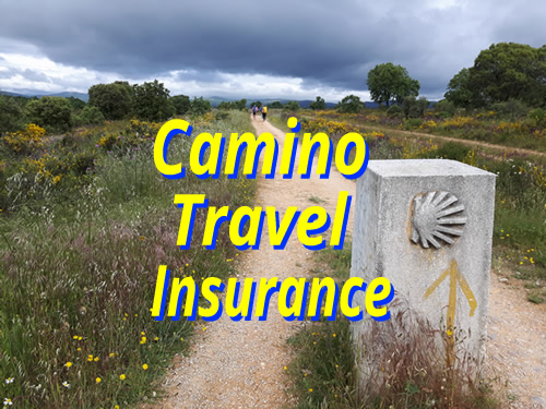 camino insurance